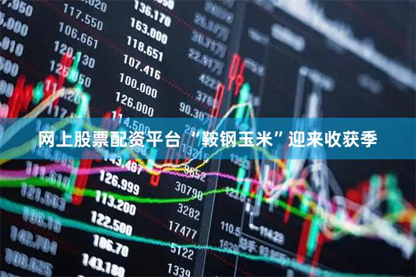网上股票配资平台 “鞍钢玉米”迎来收获季