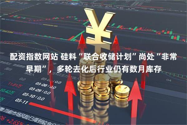 配资指数网站 硅料“联合收储计划”尚处“非常早期”，多轮去化后行业仍有数月库存